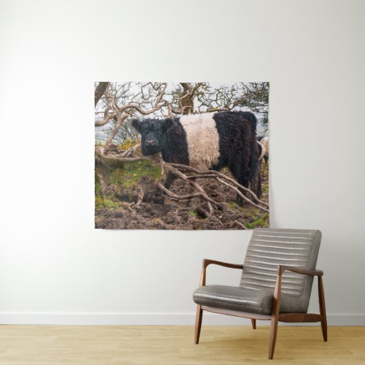Belted Galloway Koe Standing By Fallen Tree Wandkleed (In Situ (horizontaal))
