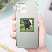 Belted Galloway Koe Sticker (Telefoon)