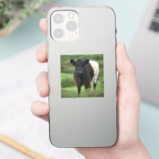 Belted Galloway Koe Sticker (Telefoon)