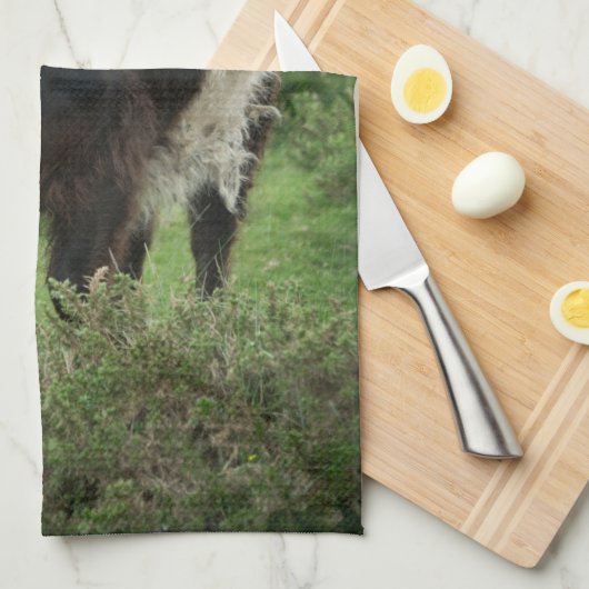 Belted Galloway Koe Theedoek (Quarter Fold)