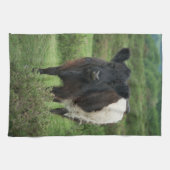 Belted Galloway Koe Theedoek (Horizontaal)
