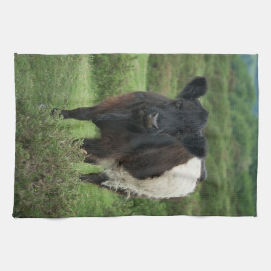 Belted Galloway Koe Theedoek (Horizontaal)