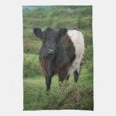 Belted Galloway Koe Theedoek (Verticaal)