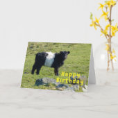 Belted Galloway koe Verjaardagskaart Kaart (Gele Bloem)