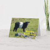 Belted Galloway koe Verjaardagskaart Kaart (Voorkant)