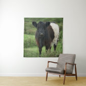 Belted Galloway Koe Wandkleed (In situ)