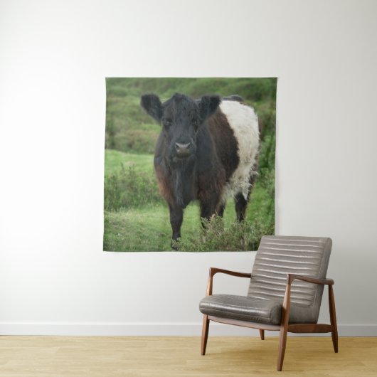 Belted Galloway Koe Wandkleed (In situ)