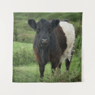 Belted Galloway Koe Wandkleed