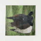 Belted Galloway Koe Wandkleed (Voorkant (horizontaal))