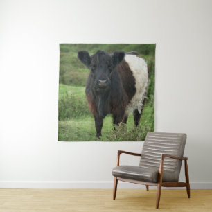 Belted Galloway Koe Wandkleed