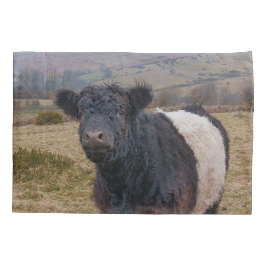Belted Galloway trots op Dartmoor Farmland Kussensloop (Achterkant)