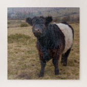 Belted Galloway trots op Dartmoor Farmland Legpuzzel (Verticaal)