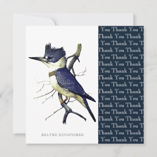 Belted Kingfisher Bird Lovers Artwork Custom Bedankkaart (Voorkant)