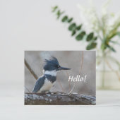Belted Kingfisher Briefkaart (Staand voorkant)