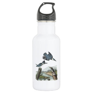 Belted Kingfisher door Audubon Waterfles