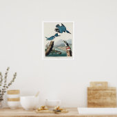 Belted Kingfisher door Poster van Audubon (Keuken)