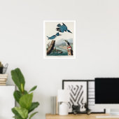 Belted Kingfisher door Poster van Audubon (Thuiskantoor)