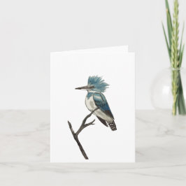 Belted Kingfisher Folded Note Card Kaart