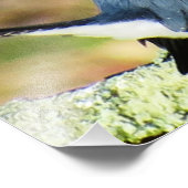 Belted Kingfisher Foto Afdruk (Hoek)