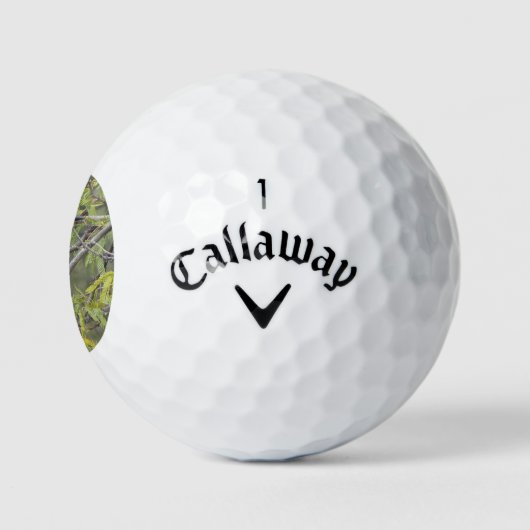 Belted Kingfisher Golfballen (Logo)