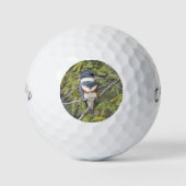 Belted Kingfisher Golfballen (Voorkant)