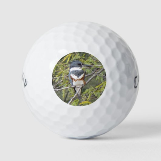Belted Kingfisher Golfballen (Voorkant)