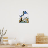 Belted Kingfisher John Audubon Birds of America Poster (Keuken)