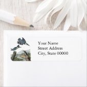 Belted Kingfisher, John Audubon Etiket (Insitu)