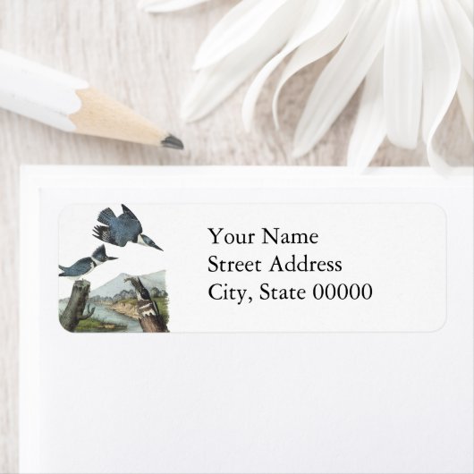 Belted Kingfisher, John Audubon Etiket (Insitu)