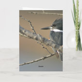 Belted Kingfisher Kaart (Achterkant)