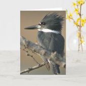 Belted Kingfisher Kaart (Gele Bloem)