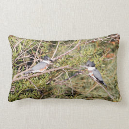 Belted Kingfisher Kussen