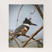 Belted Kingfisher Legpuzzel (Verticaal)