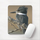 Belted Kingfisher Muismat (Met muis)