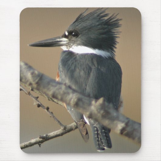 Belted Kingfisher Muismat (Voorkant)