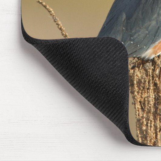 Belted Kingfisher Muismat (Hoek)