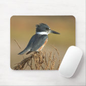 Belted Kingfisher Muismat (Met muis)