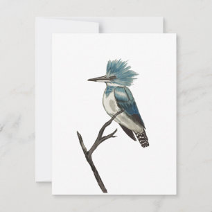 Belted Kingfisher Note Card Notitiekaartje