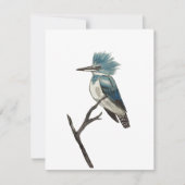 Belted Kingfisher Note Card Notitiekaartje (Voorkant)