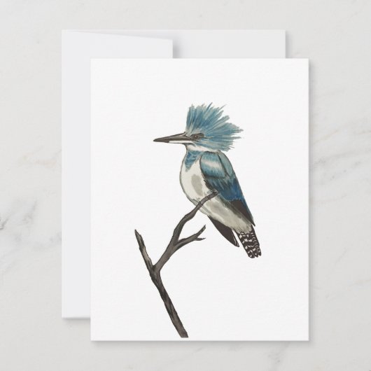 Belted Kingfisher Note Card Notitiekaartje (Voorkant)