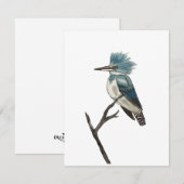 Belted Kingfisher Note Card Notitiekaartje (Voorkant / Achterkant)