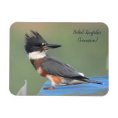 Belted Kingfisher (onvolgroeid) Magneet (Horizontaal)
