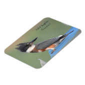 Belted Kingfisher (onvolgroeid) Magneet (Linkerzijde)