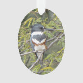 Belted Kingfisher Ornament (voorkant)