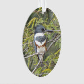 Belted Kingfisher Ornament (voorkant)
