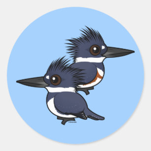 Belted Kingfisher paar Ronde Sticker