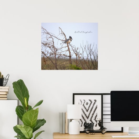 Belted Kingfisher Photo Poster (Thuiskantoor)
