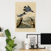 Belted Kingfisher Poster (Thuiskantoor)