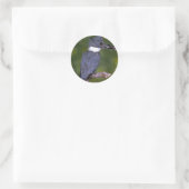 Belted Kingfisher Ronde Sticker (Tas)