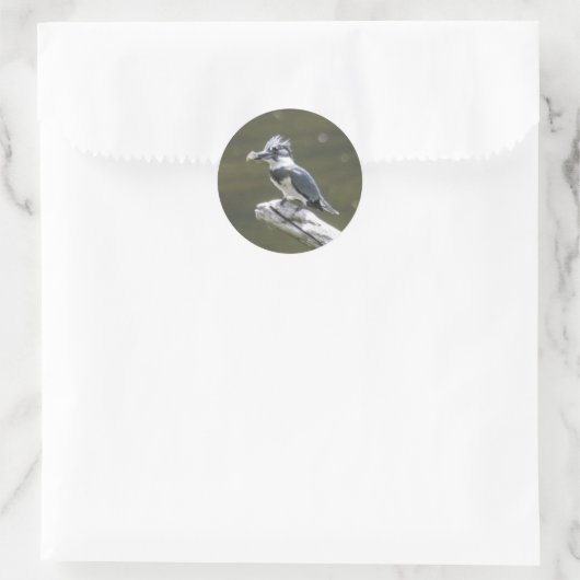 Belted Kingfisher Ronde Sticker (Tas)